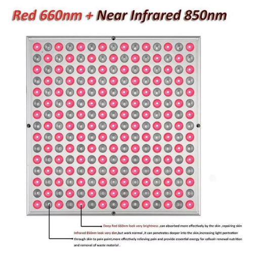 Red Light Therapy Healing